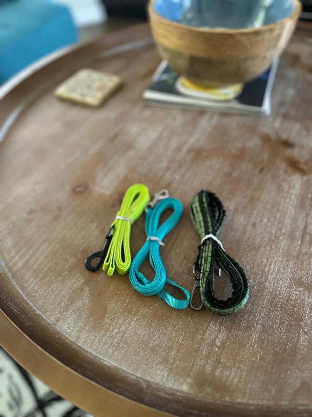 Lot of 3 New and Unused Cat / small dog leashes